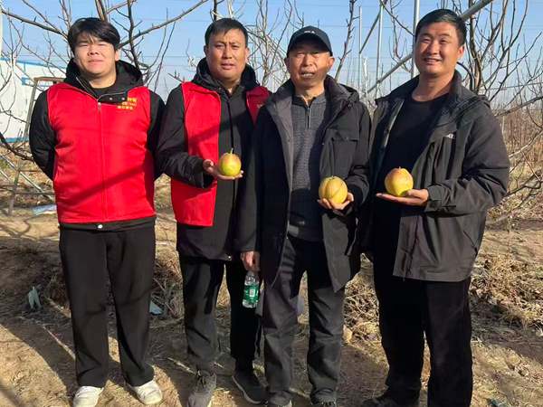 技术指导